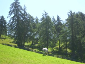 Settimana d´escursione in autunno